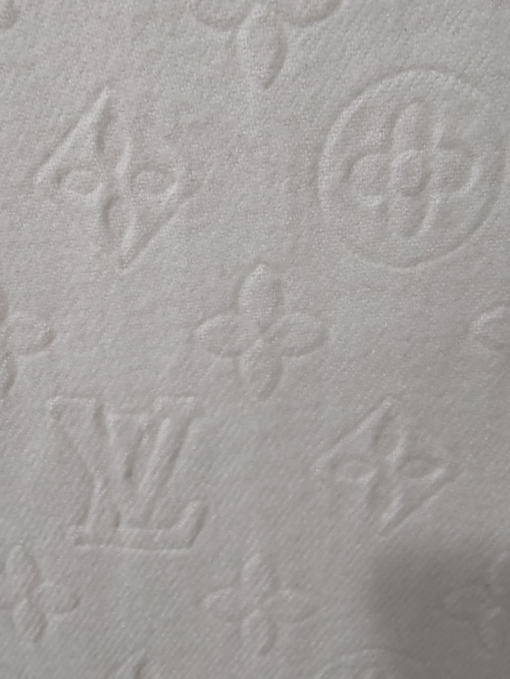 Louis Vuitton Ivory Embossed Monogram Scarf